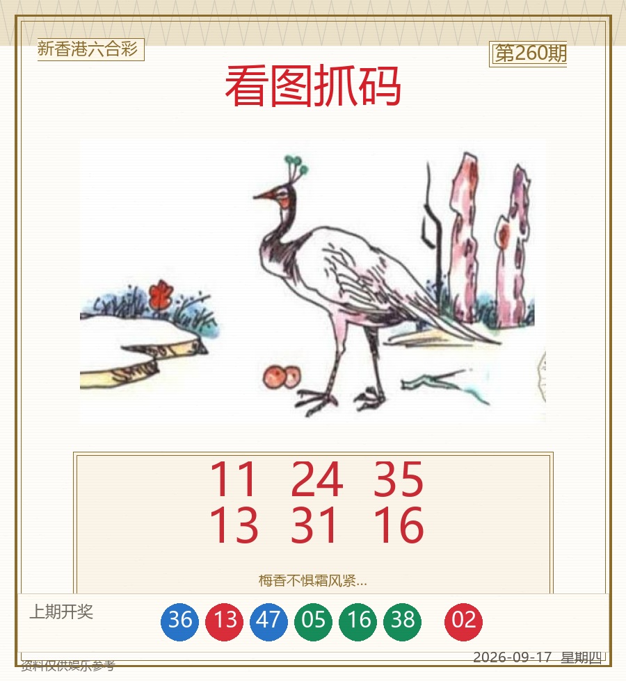 看图抓码