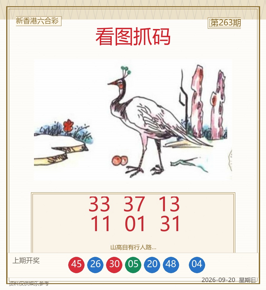 看图抓码