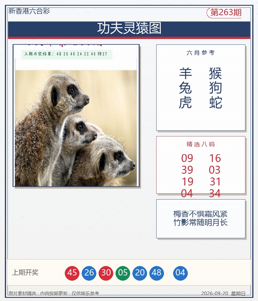 功夫灵猿图