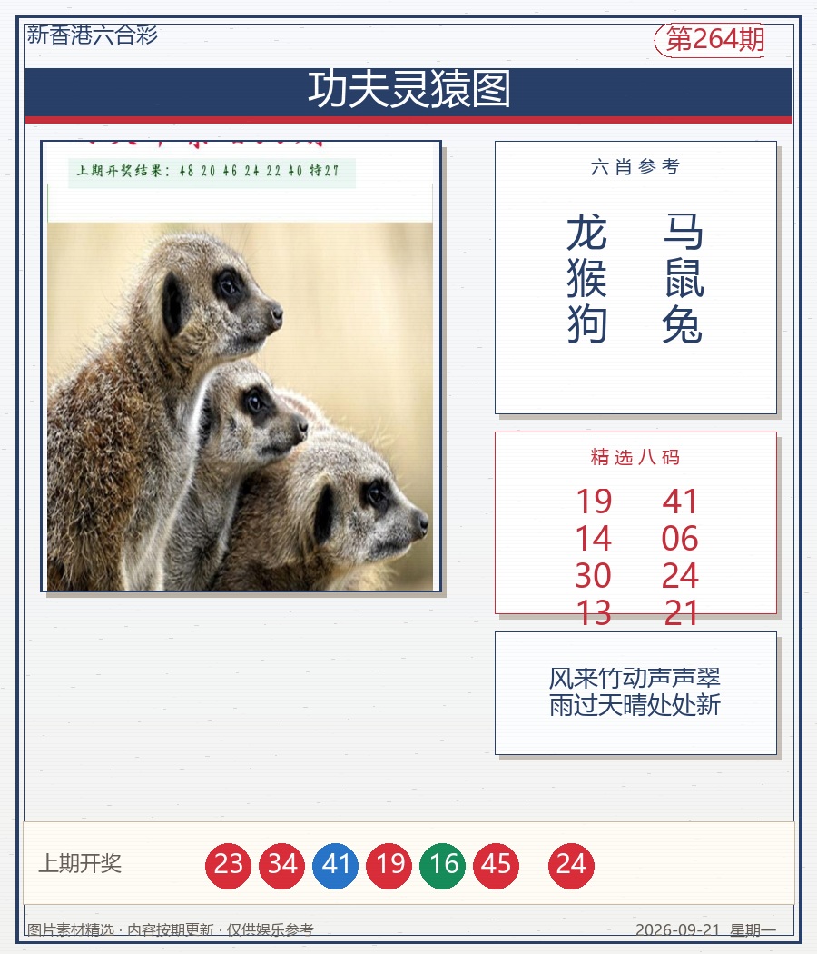 功夫灵猿图
