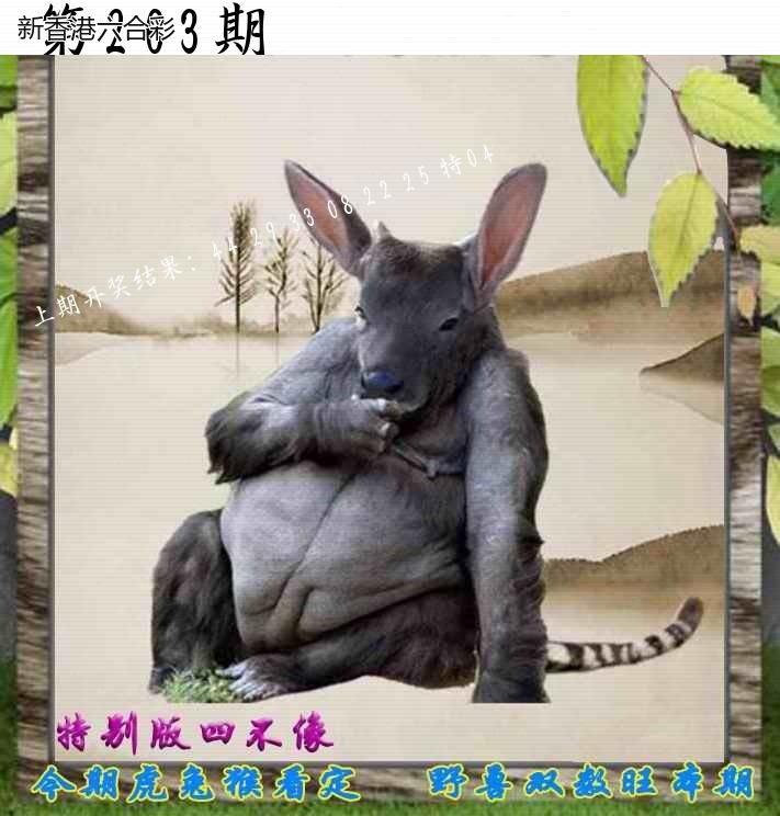 精选图库 1318