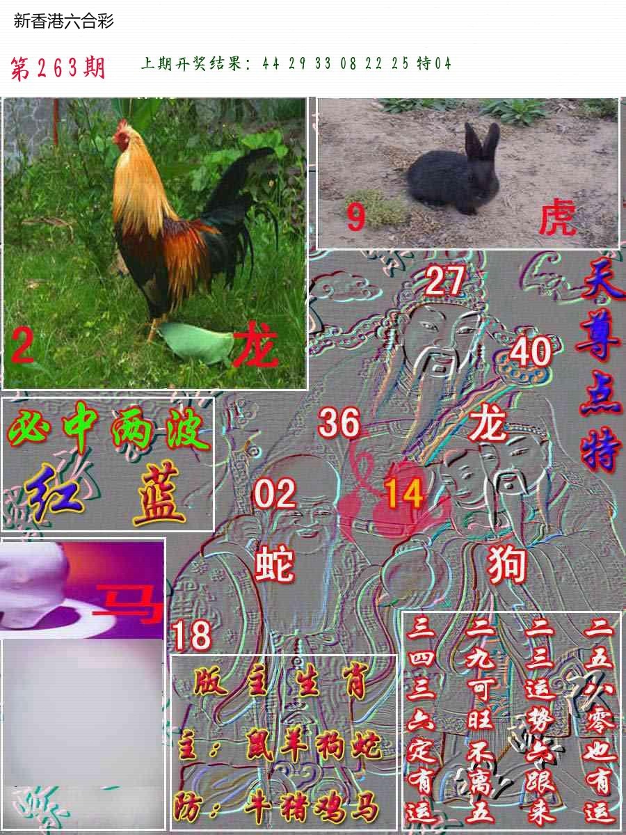 精选图库 1351