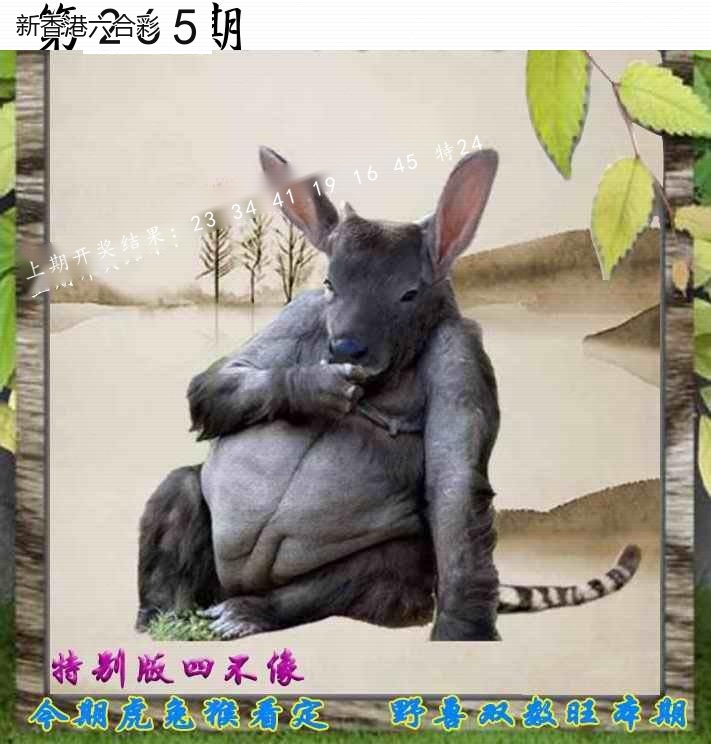 精选图库 1318