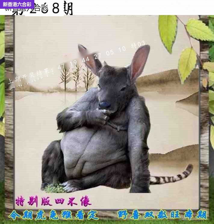 精选图库 1318