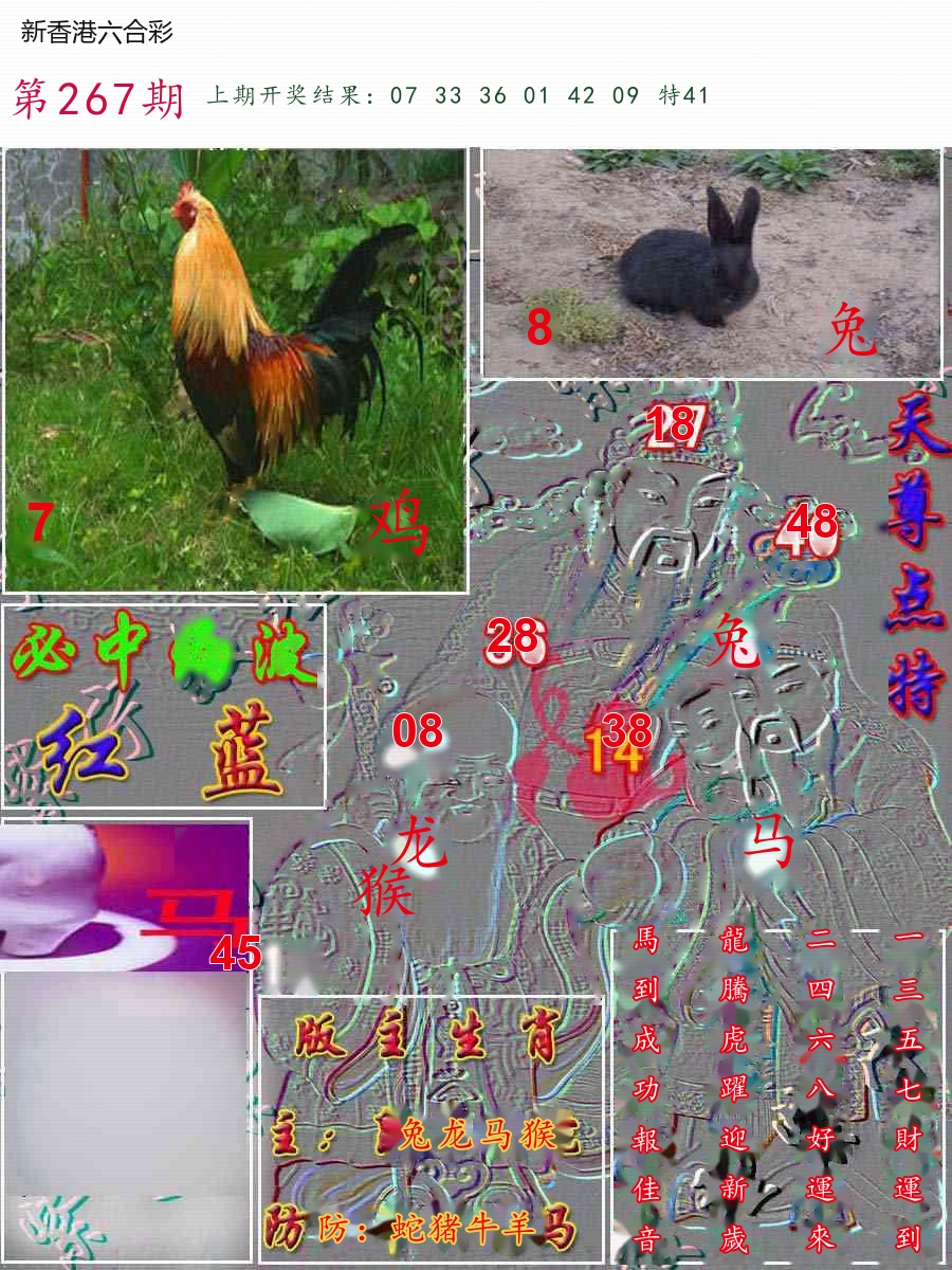 精选图库 1351