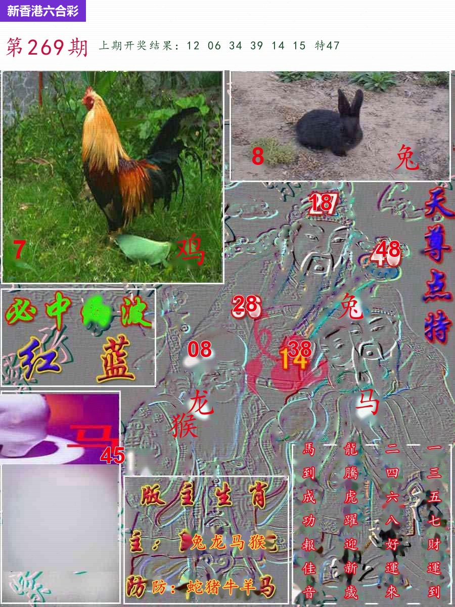 精选图库 1351