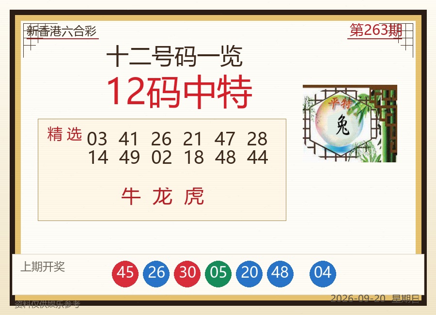 12码中特